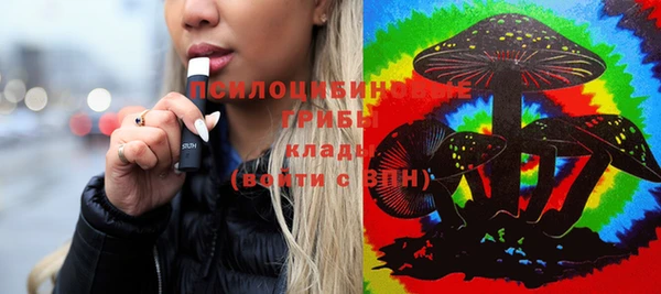 твердый Елизово