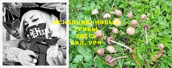 твердый Елизово